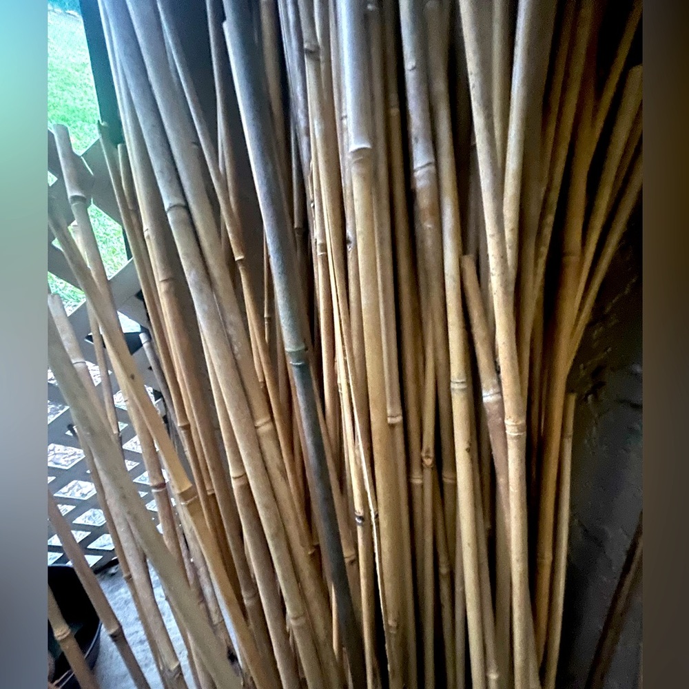 Brown bamboo sticks